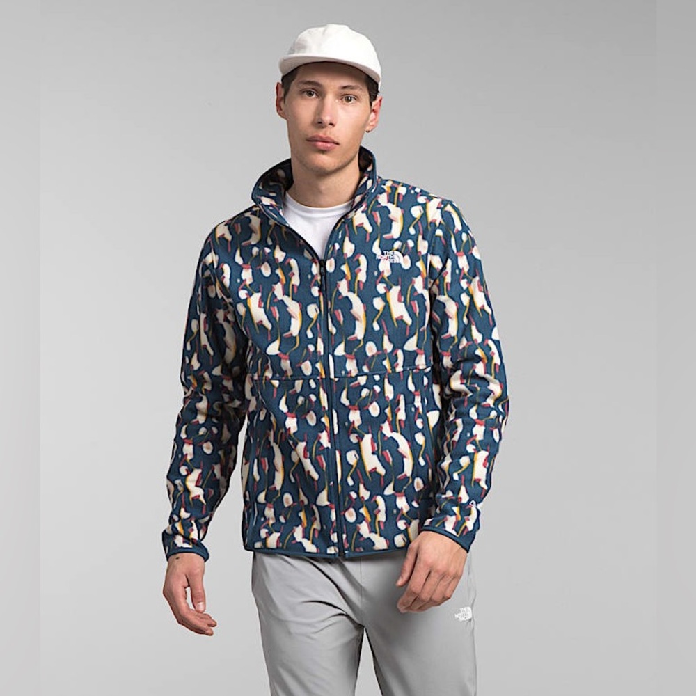 North Face Alpine Polartec 100 Fleece Jacket